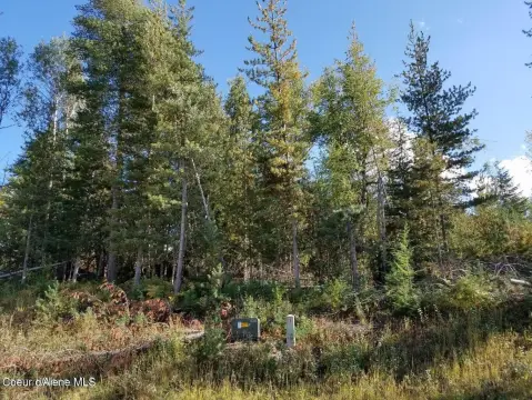 Treed Residential Acreage Lot