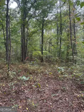 Land in Salacoa Valley