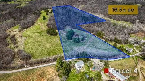 Recreational Land with Pine Timber