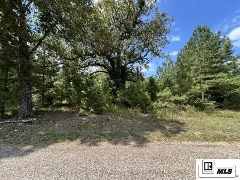 Wooded Hunting Land