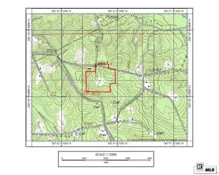Pine Plantation Agricultural Land