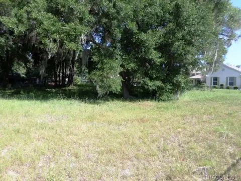 Residential Land Near Rainbow River