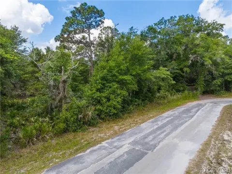 Residential Lot in Crystal River