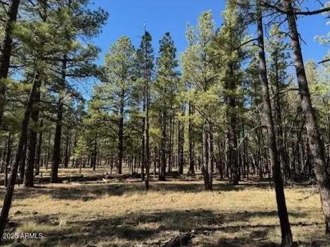 Flagstaff Land Parcel For Sale