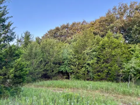 Land for Custom Home in Colbert