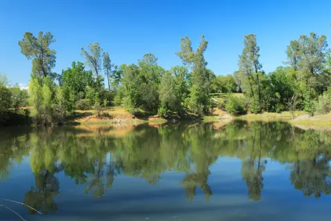 Contiguous Ranchland with Pond