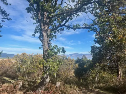 Land with Lake Views