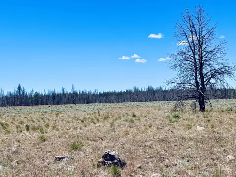 10+ Acre Rural Retreat Land