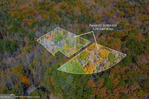 Ellijay, GA Land with Views