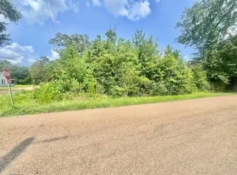 Corner Home Lot in City Limits