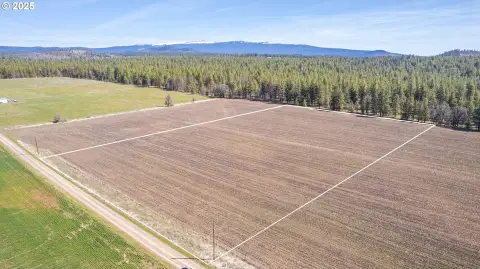 Goldendale Land with Mountain Views