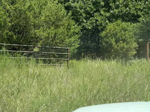 42 Acres Bordering National Forest