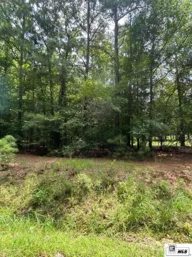 Land for Home or Ranch