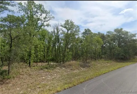 Citrus Springs Land Parcel
