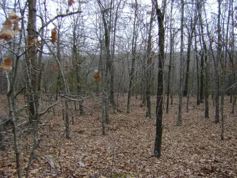 Ash Flat Subdivision Lot