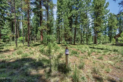 Residential Lot with Approved Plans