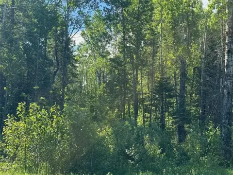 Wooded Land with Creek Frontage