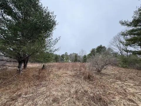 Buildable Lot in Desirable Durham