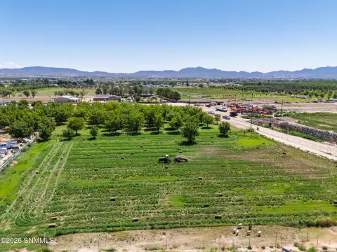 Fenced Farmland with Water Rights