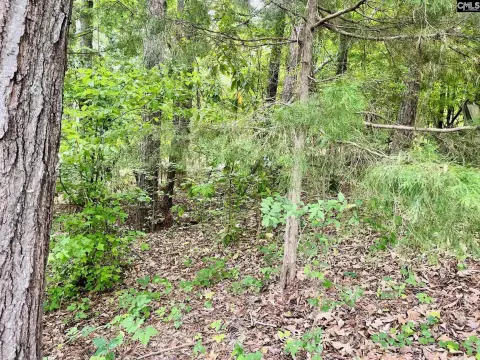 Leesville Acreage Near Lake Murray