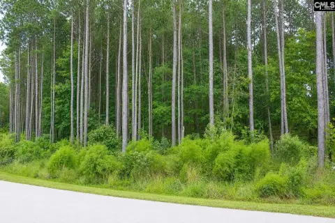 Lake Access Community Residential Lot