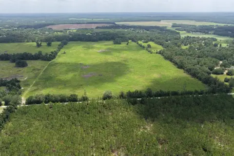 Planted Timber Agricultural Land