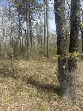 Wooded Acreage in Finch Area