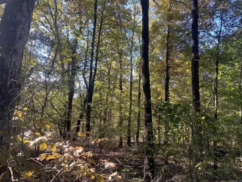 Unrestricted Land Near Mountain View