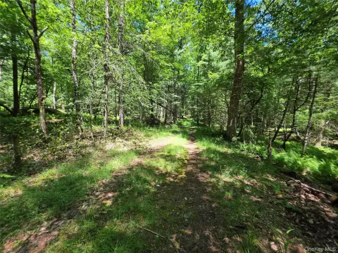 Wooded Residential Development Parcel