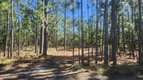 Southport, NC Land Opportunity