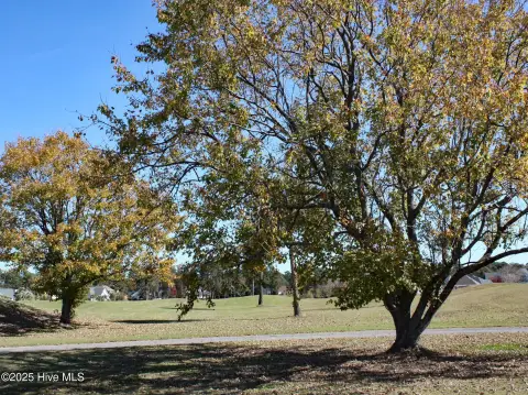 Ocean Isle Beach Homesite