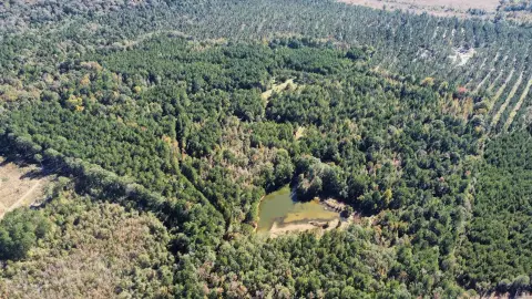 65 Acre Hunting Paradise