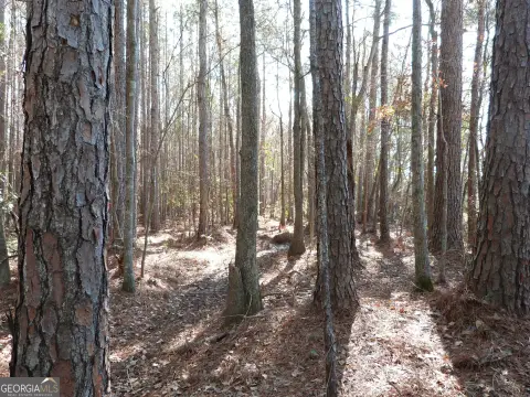 Wooded Hunting Land
