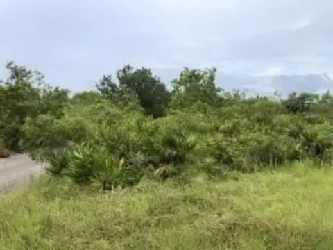 Lake Wales Land For Sale