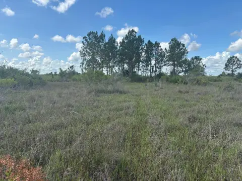 3-Acre Okeechobee Land Parcel