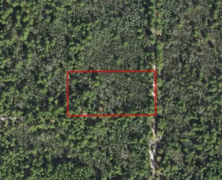 Wooded Lot in Lake Wales