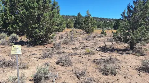 10 Acres in Golden View Ranch