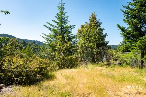 Ettersburg Land with Timber