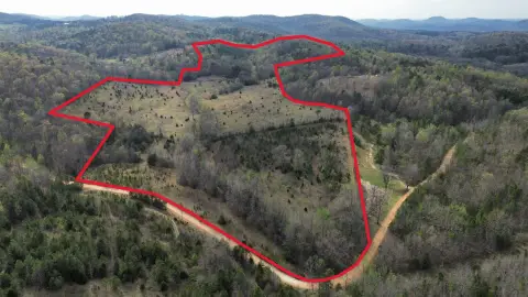 77 Acres in Ozark Mountains