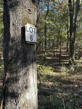 Mena, AR Mountain Acreage