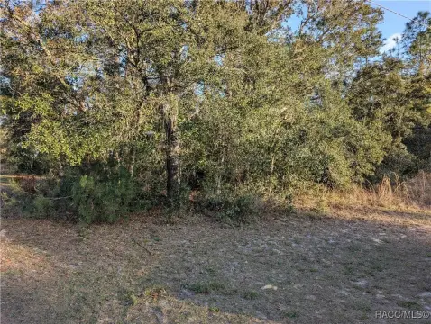 Land in Citrus Springs, FL
