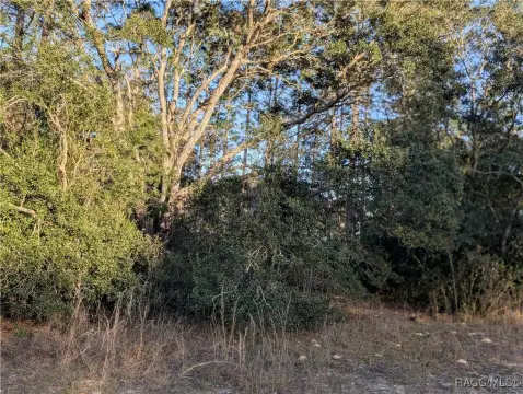 Land in Citrus Springs, FL