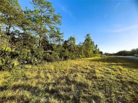 Ocala National Forest Corner Lot