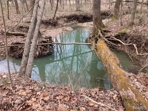 Wooded Recreation Land