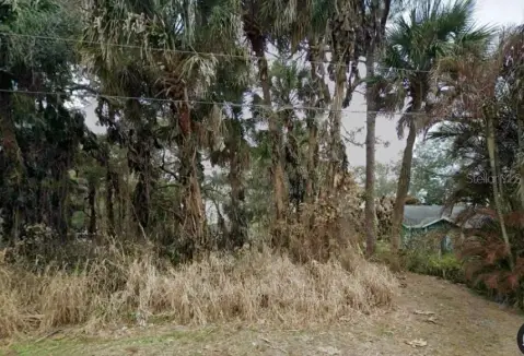 Buildable Residential Lot