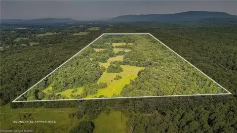 Wooded Hunting Land