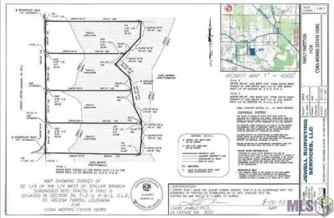 Amite Vacant Land Opportunity