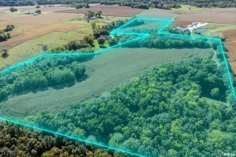 Farmland with Timber