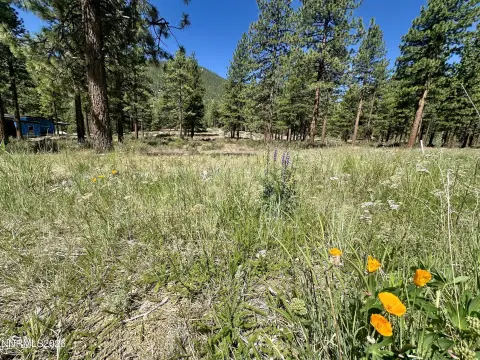 Residential Buildable Land Parcel