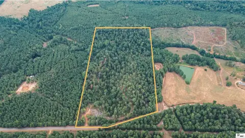 Managed Timber Farmland